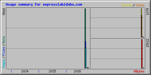 Usage summary for expresslabidaho.com